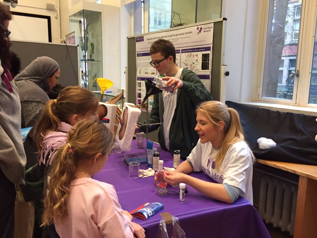 RLWczyk's tweet image. Team Kidney in full swing at #BodyExperience2017 @McrMuseum