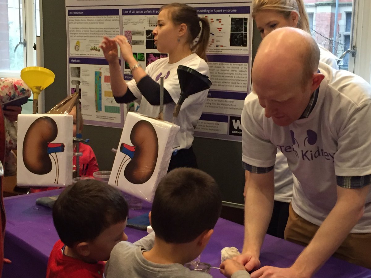 RLWczyk's tweet image. Team Kidney in full swing at #BodyExperience2017 @McrMuseum