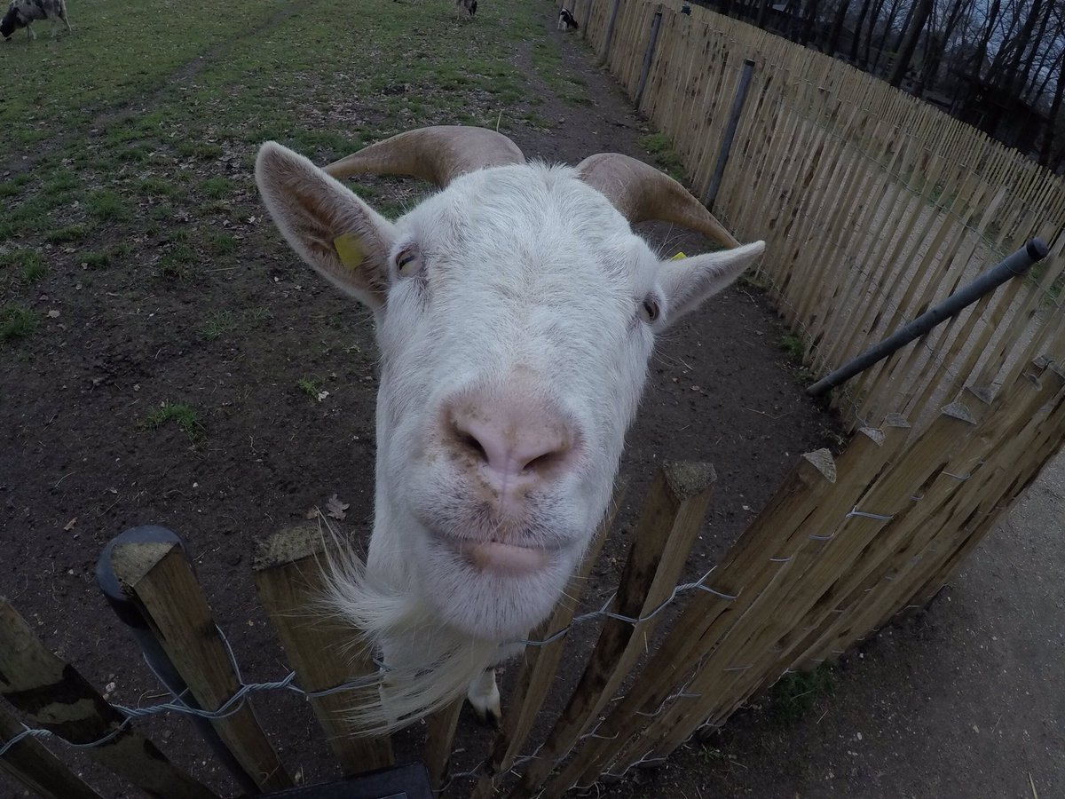 HSJBreak's tweet image. There aren't many 'landmarks' in Weeze but here are a few photos of our final location for you to enjoy! (More on fb) #KidscanJailbreak