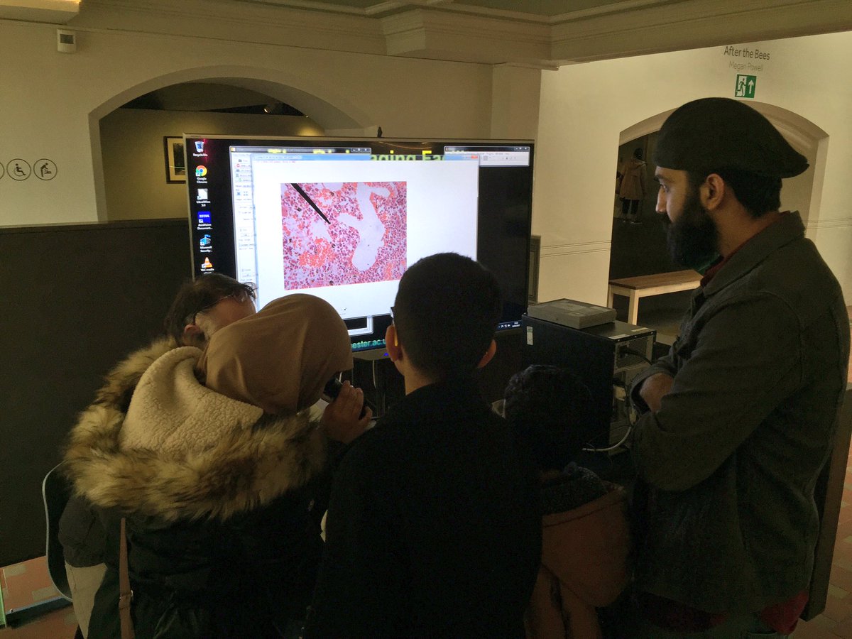 ThatEdThomas's tweet photo. Heart balloons, histology, body mechanics, stem cells and much more. @McrMuseum has it all for it's #bodyexperience event as part of #BSW17 https://t.co/GahnRi1ouZ