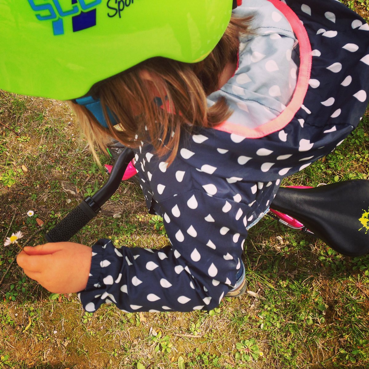 Ellesfontduvelo's tweet photo. Cueillette de super #fleurs du presque #printemps en super #draisienne #frogbikes avec une super star! https://t.co/1w3I2gSkaL