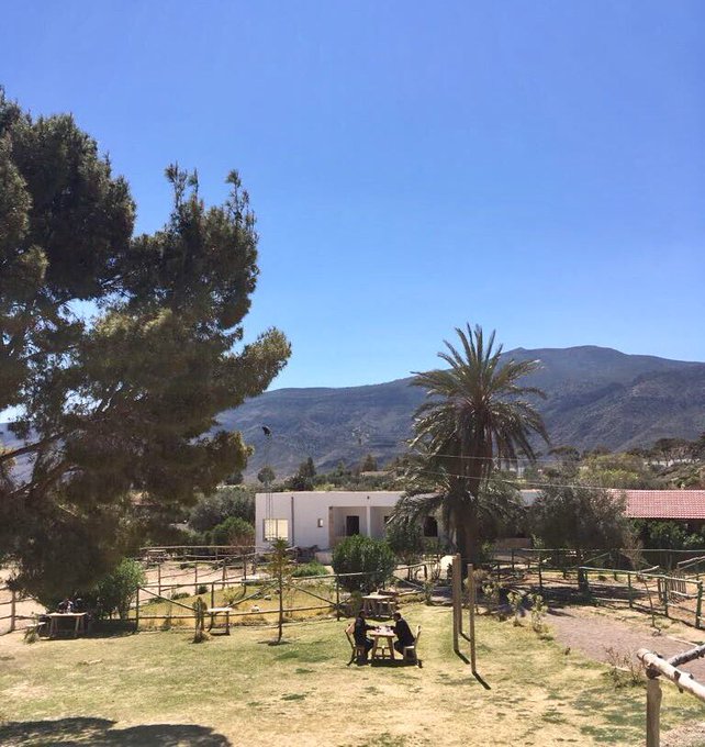 Voir l'image sur Twitter Voir l'image sur Twitter