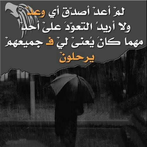 qazsd uhvc (@quhvc) on Twitter photo 
