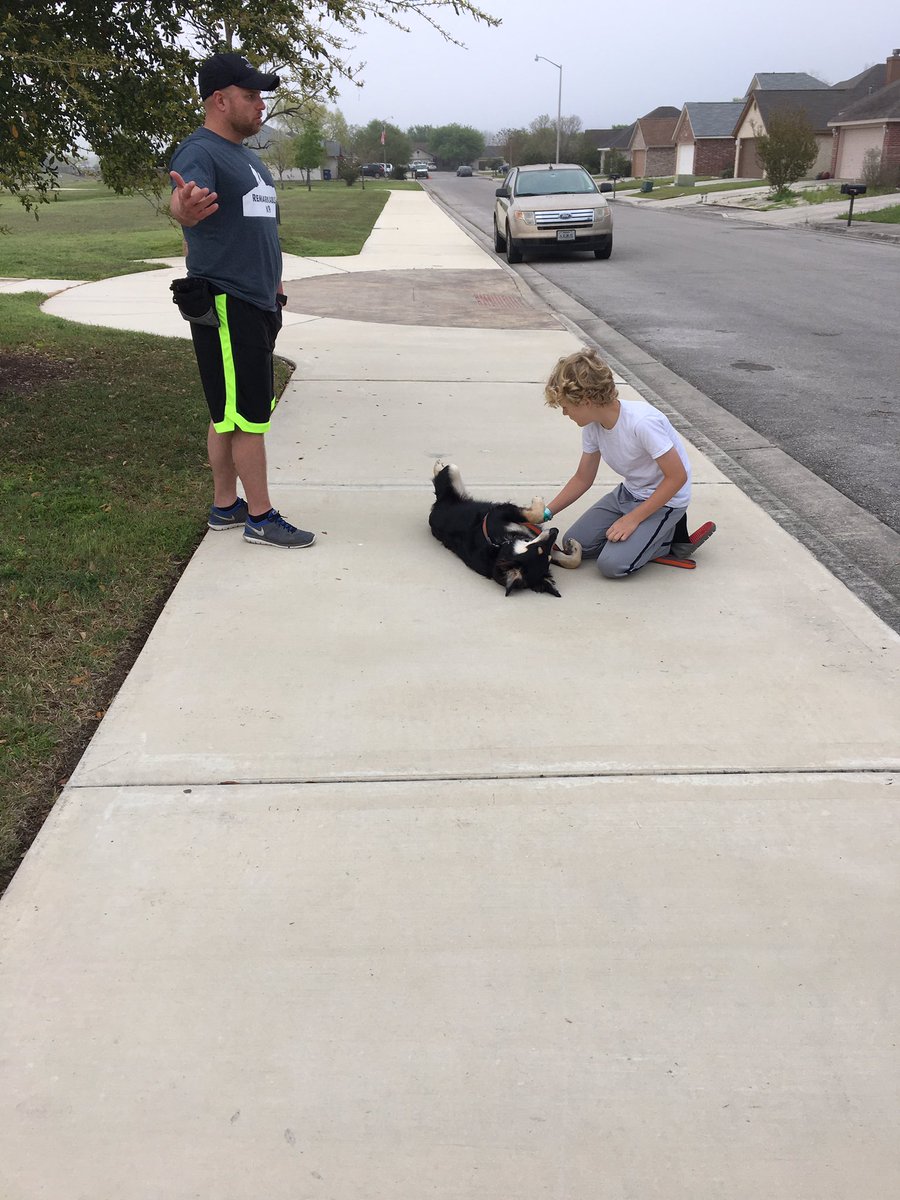 RemarkableK9 tweet picture