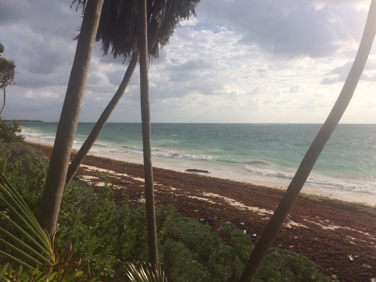 Chris_Casting's tweet photo. Getting set up for a days fishing in Ascension Bay #flyfishing https://t.co/nG6QoFpgXo