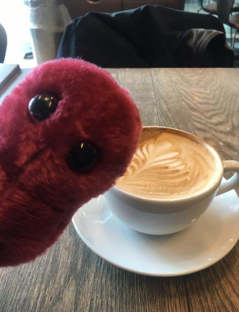 Norfolk & Norwich Science Association (@nandnsciassoc) on Twitter photo One of our volunteers grabbed a #coffee with Shewy today at <a href="/CafeBarMarzano/">Cafe Bar Marzano</a>! Come meet him on #NorwichSciHunt <a href="/TheForumNorwich/">The Forum Norwich</a>! One of our volunteers grabbed a #coffee with Shewy today at <a href="/CafeBarMarzano/">Cafe Bar Marzano</a>! Come meet him on #NorwichSciHunt <a href="/TheForumNorwich/">The Forum Norwich</a>!