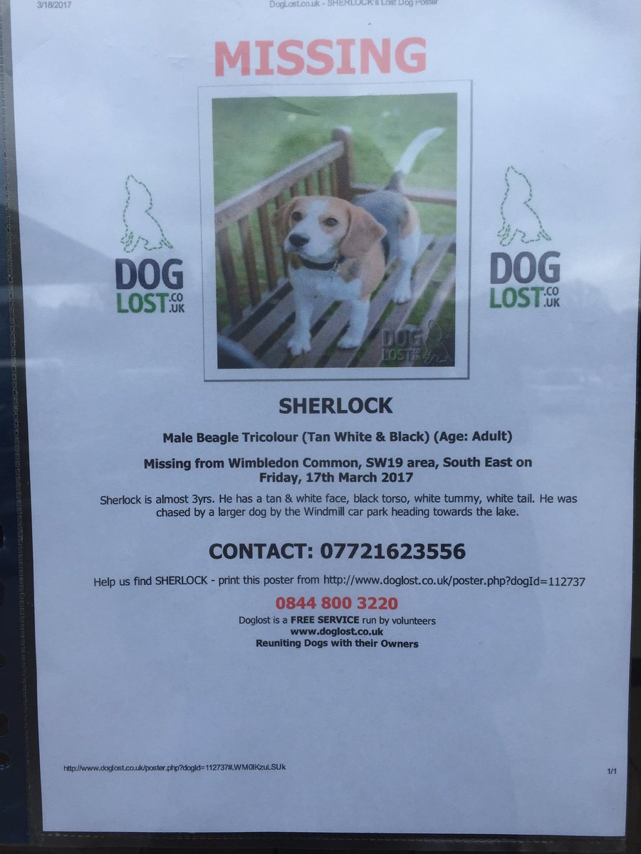 wych_the's tweet image. #wimbledoncommon #lost #dog @SWLondonDogs @foralldogkind also wonderful mural by our friend Camilla Charnock in the Windmill Cafe. #talent