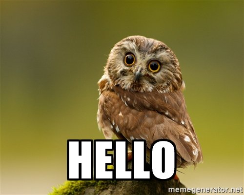 DatCrazyOwl's tweet photo. Da Crazy Owl sayz https://t.co/YvV09vPOgc