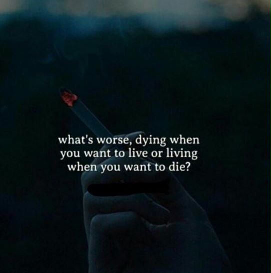 OrgasmDesire's tweet photo. Idk u tell me https://t.co/BhS6gwt8ep