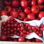 Photo by Sky Vegetables, Inc. (@skyvegetables)