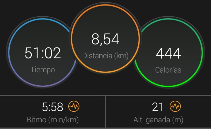 reto21k's tweet photo. Levantarte a las 5:30h, currar 7h de pie y andando y salir directa al parque a hacer los deberes 💪😎 #marathonrules
#CorrerEsDeValientesNY 🏃🗽 https://t.co/vPF6xqcp2q