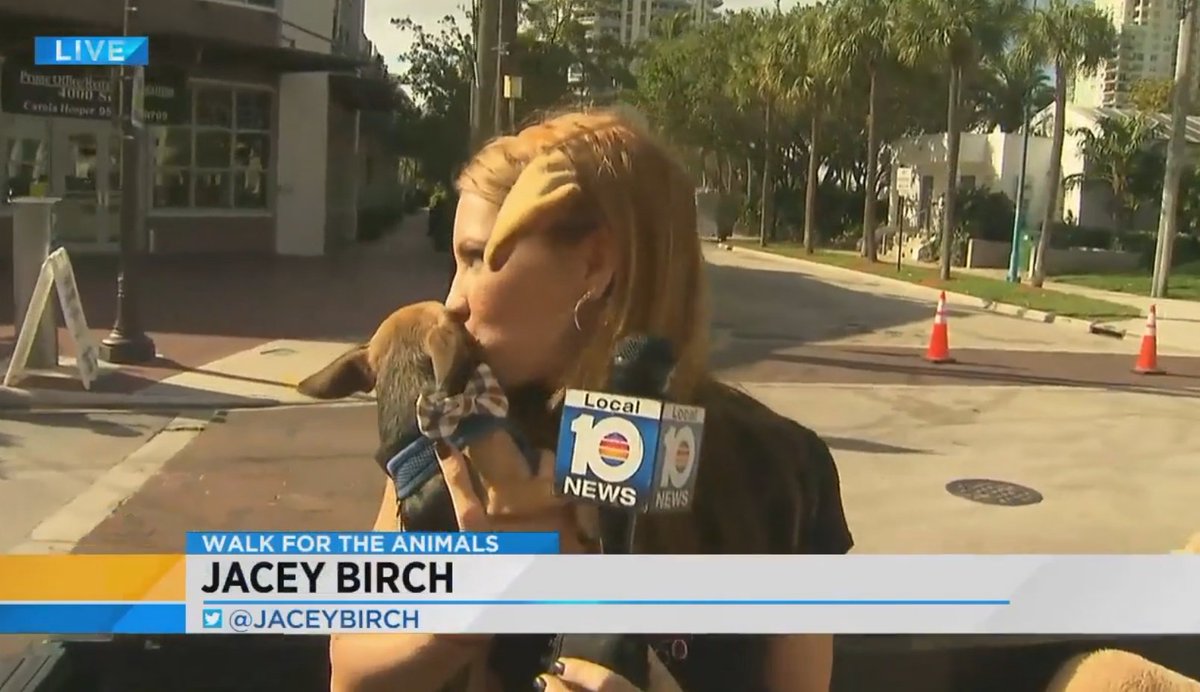 Animal lovers take over downtown Fort Lauderdale for the annual Walk for the Animals bit.ly/2mDccpW https://t.co/BAk0p2l6js