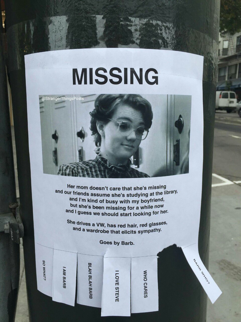 Poster Stranger Things Missing Barb 61x91,5cm