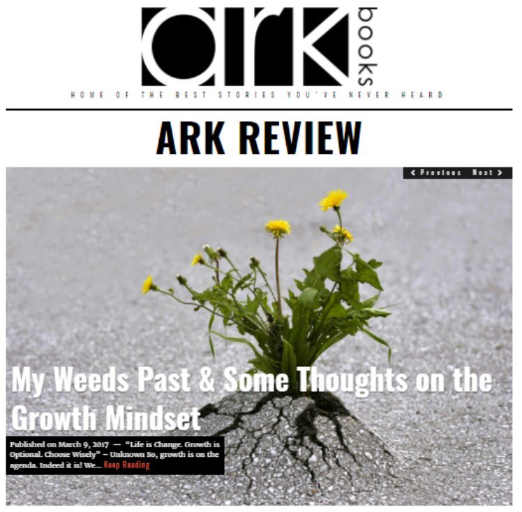 Hannah Bergqvist tweet media