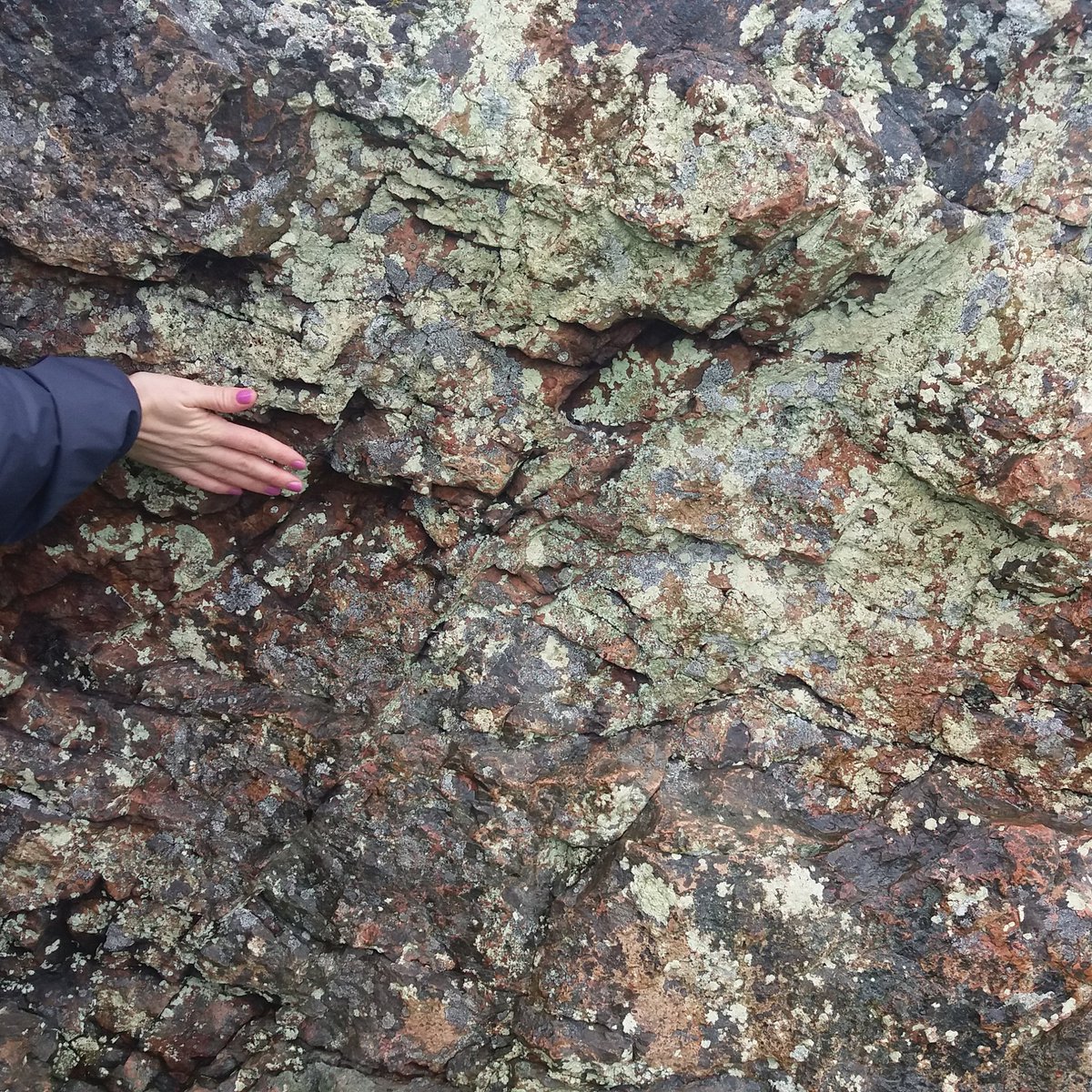 v_vulpes's tweet photo. Exploring Foxhill estate and Stanton Drew's ancient standing stones - part of our residency @EdgeArtsBath https://t.co/ELskGtUs1j