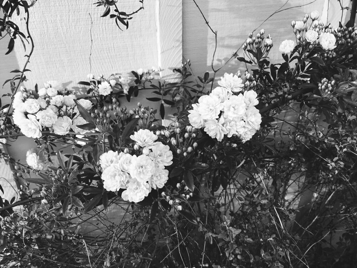 sarah_ial's tweet photo. - when i picture myself being happy,
i'm picturing myself with you🌼 #igot7selcaday https://t.co/IMGWusRDrn