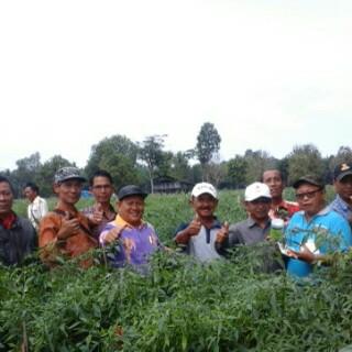 Zakhi20's tweet photo. jangn padang pekerjaan kita sebelah mata ??
  pandang lah dengan hati mulia 
@Zakhi20  #petanicabemerah https://t.co/mdcjIle8WH