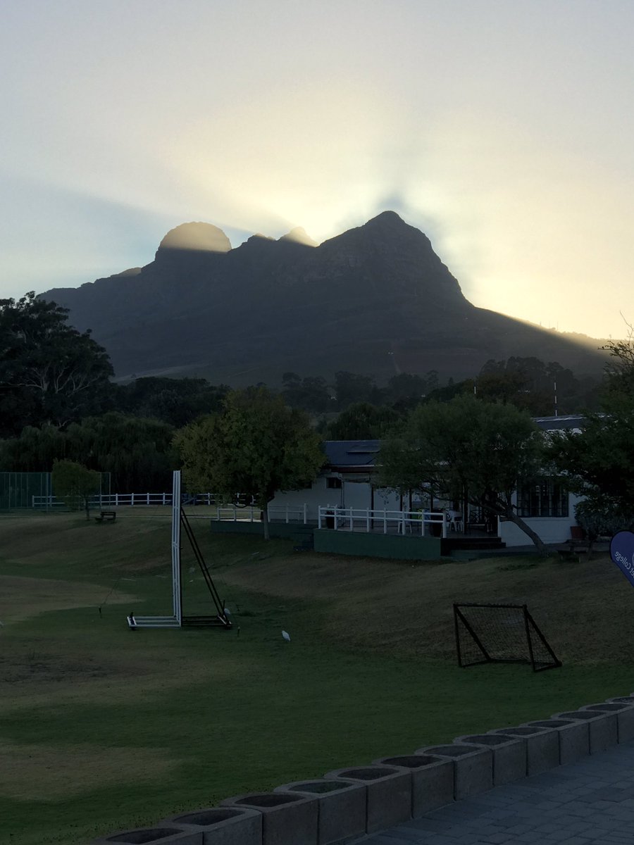 Elana Sonnenberg tweet media