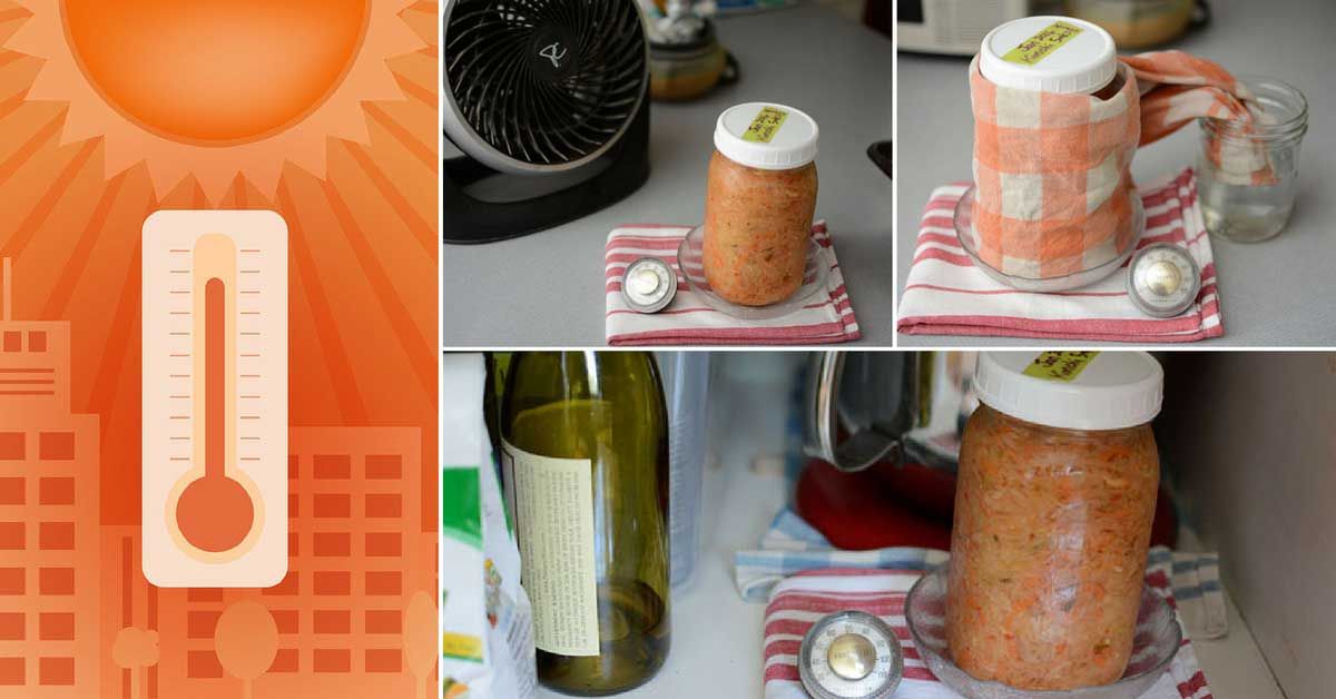 MakeSauerkraut's tweet image. 11 Cool Fermentation Tips for Hot Weather to Ensure Success: Adjust salt, the Wet T-shirt...  bit.ly/2lrlpVt