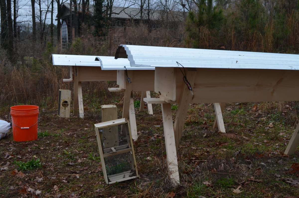fengphysics's tweet photo. @ChipHouston1976 @TusseyTweets @MVPSchool  We just installed the bees this morning! @kirstenbeard https://t.co/RmeeJpzTEG