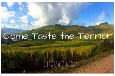 GetAlsaced's tweet image. Screw grape varieties...I want TERRIOR!!! #alsacewine #frenchwine #winegeek