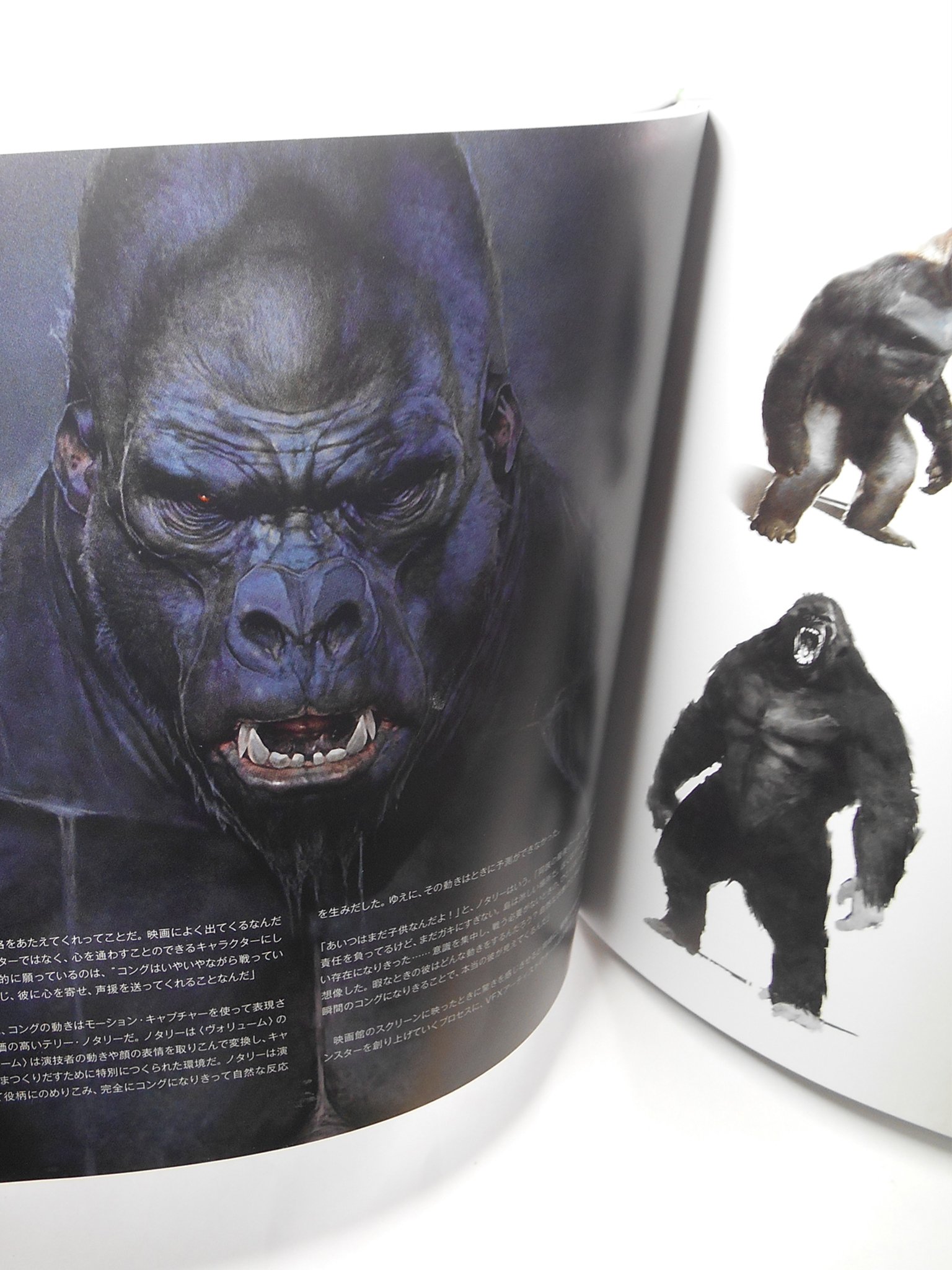 THE MAKING OF KINGKONG 洋書　メイキングオブキングコング The Making of King Kong | Book Review - YouTube