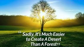FreshXSpritz's tweet image. Lets help build a forest!
#ThinkEnvironment
#ThinkGreen
#TheFreshXFactor
