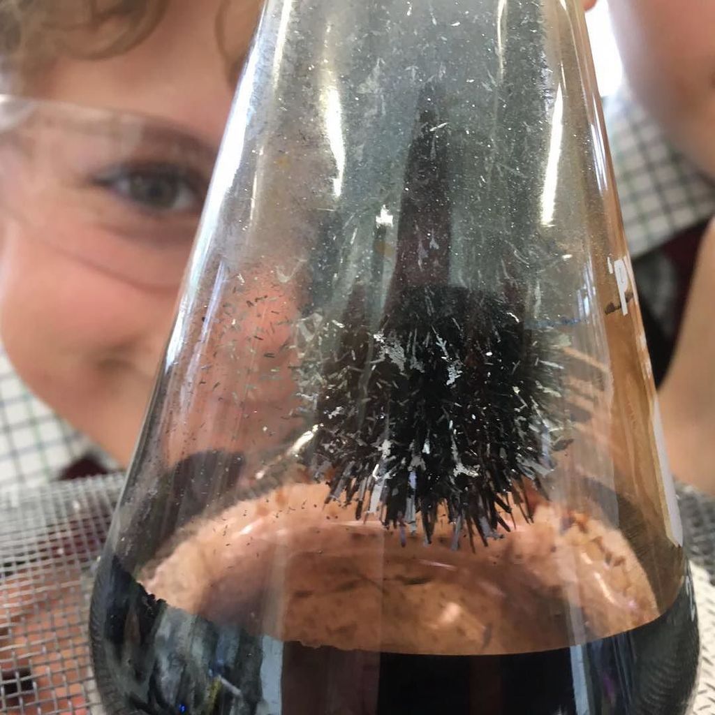 Cothilltweet's tweet image. Sublimation and deposition. #science #year4 #makingeducationfun #learning #iloveboarding ift.tt/2mH22Fv