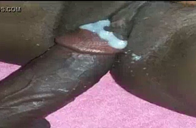 Olafocusdotcom's tweet photo. Ghana Sex Video – Accra Guy Fucked and Cream Her Pussy With Sperm https://t.co/HiwdgHVWiD https://t.co/cA4gcFeELp