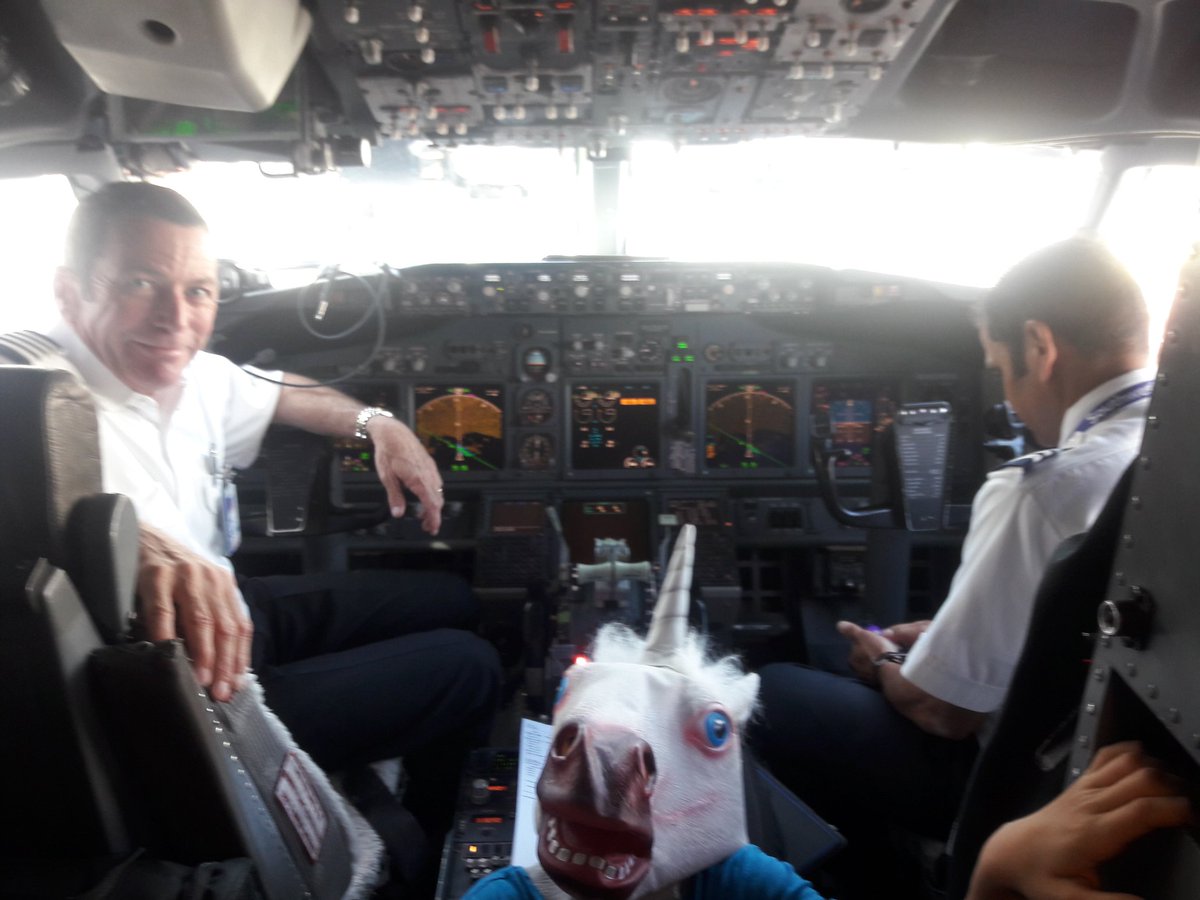 FamousAmyLynn's tweet photo. Hey @SouthwestAir , Unicorns 🦄 are precious cargo, thanks for taking excellent care of ours! #magicalflight https://t.co/Nm1zLk73SE