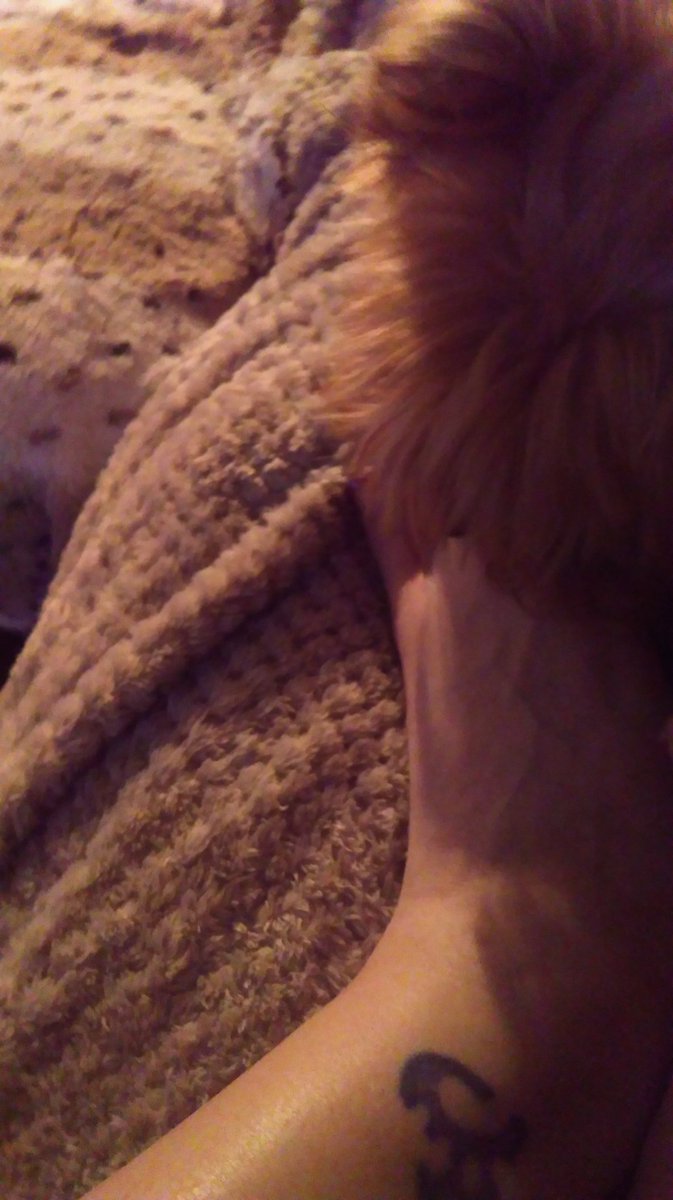ceryssutton's tweet photo. My feet are tasty #toejob https://t.co/tqlNQ807Fv