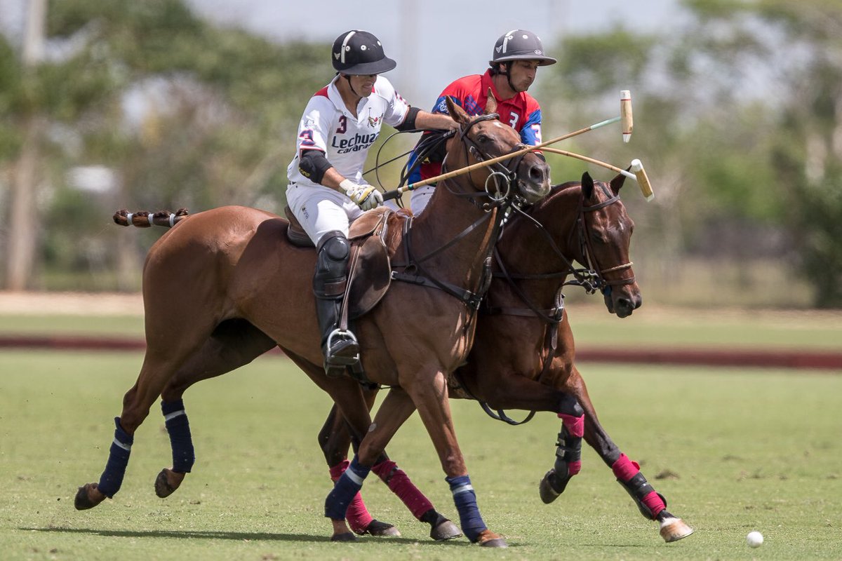 polo_challenge's tweet photo. #NachoNovillo vs #PelonStirling hace unos instantes en #LechuzaCaracas 10 - #HBpolo 7 #CopadeOro #PoloChallengeRD2017 https://t.co/sAL2M4RQTe