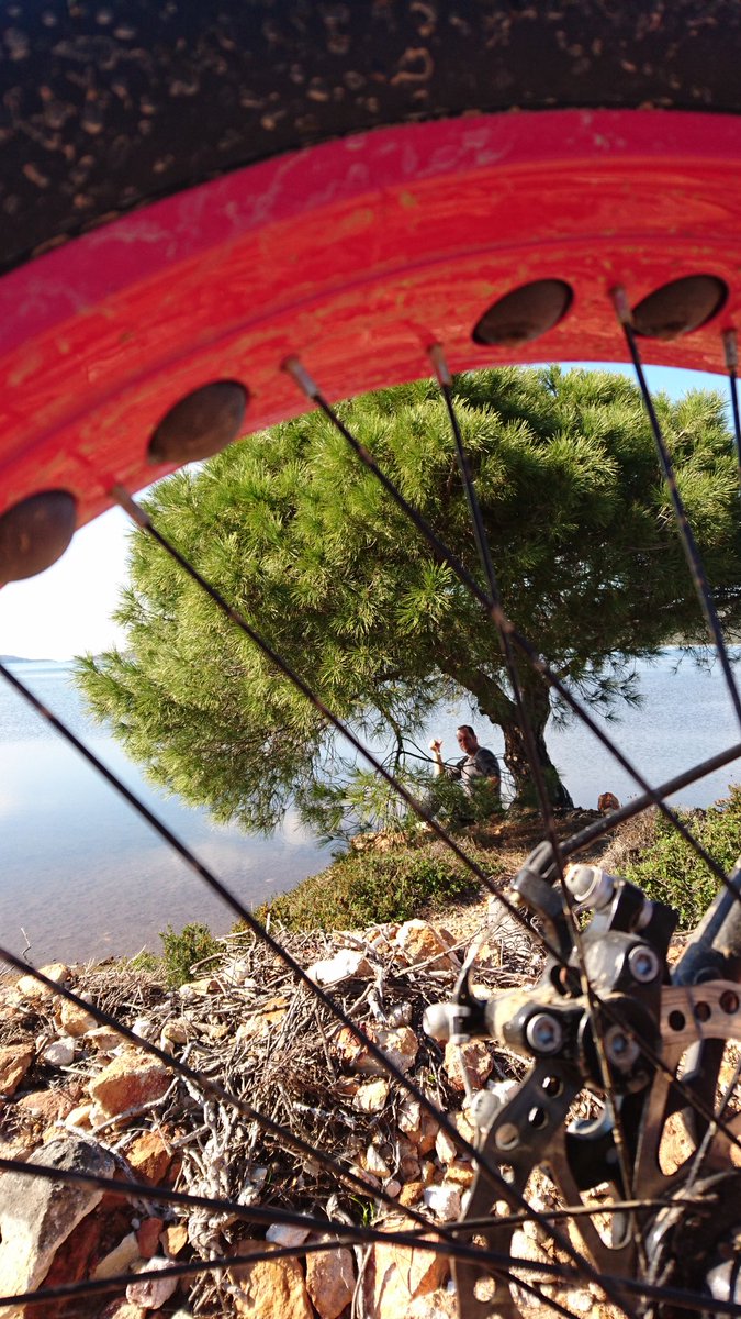 öner zafer (@onerizafer) on Twitter photo 