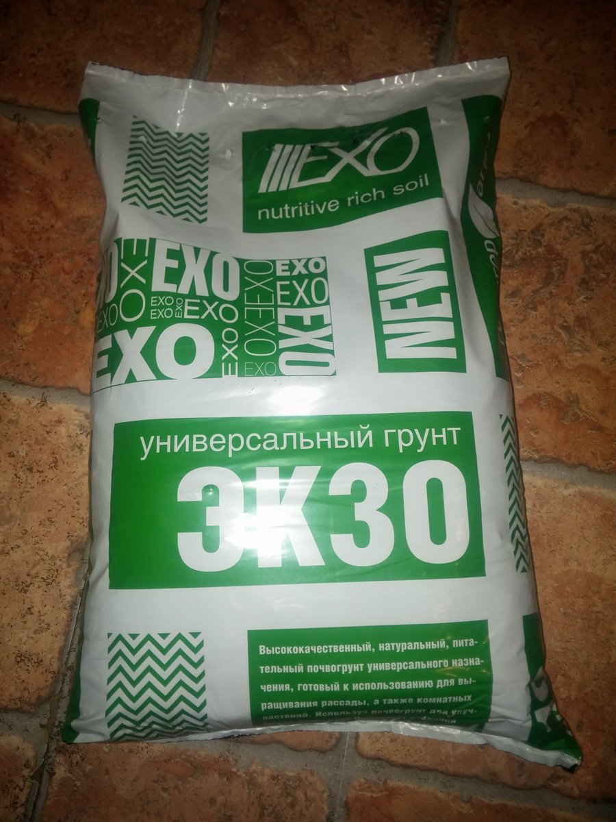 dzhenkis97's tweet photo. Прихожу домой, а там.....
#EXO#exo https://t.co/00LBfJfNLV