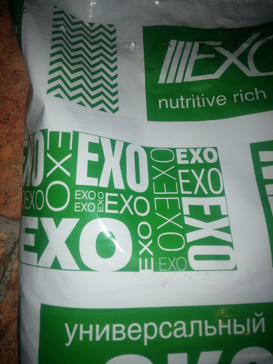 dzhenkis97's tweet photo. Прихожу домой, а там.....
#EXO#exo https://t.co/00LBfJfNLV
