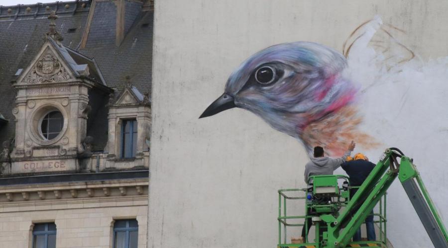 OuestFrance_56's tweet photo. Vannes. Un drôle d’oiseau boulevard de la Paix… https://t.co/VWZEIMJ0RB https://t.co/JyBTCmV3Gu
