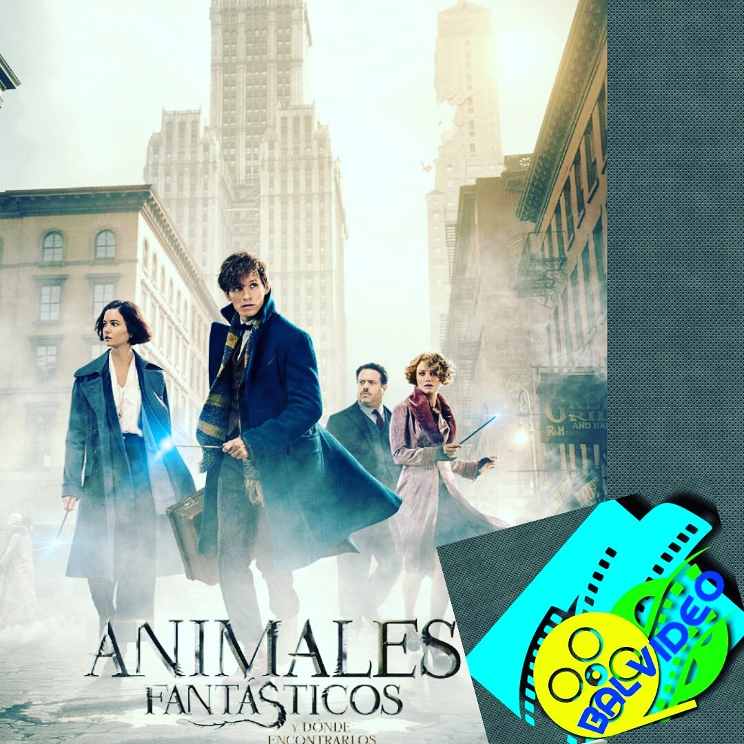 Balvideoca's tweet photo. Ya está disponible #AnimalesFantasticos en #Bluray &amp; #DVD (Español)🎬

#maracay #balvideo #maracaycity https://t.co/3VVZcVNhko
