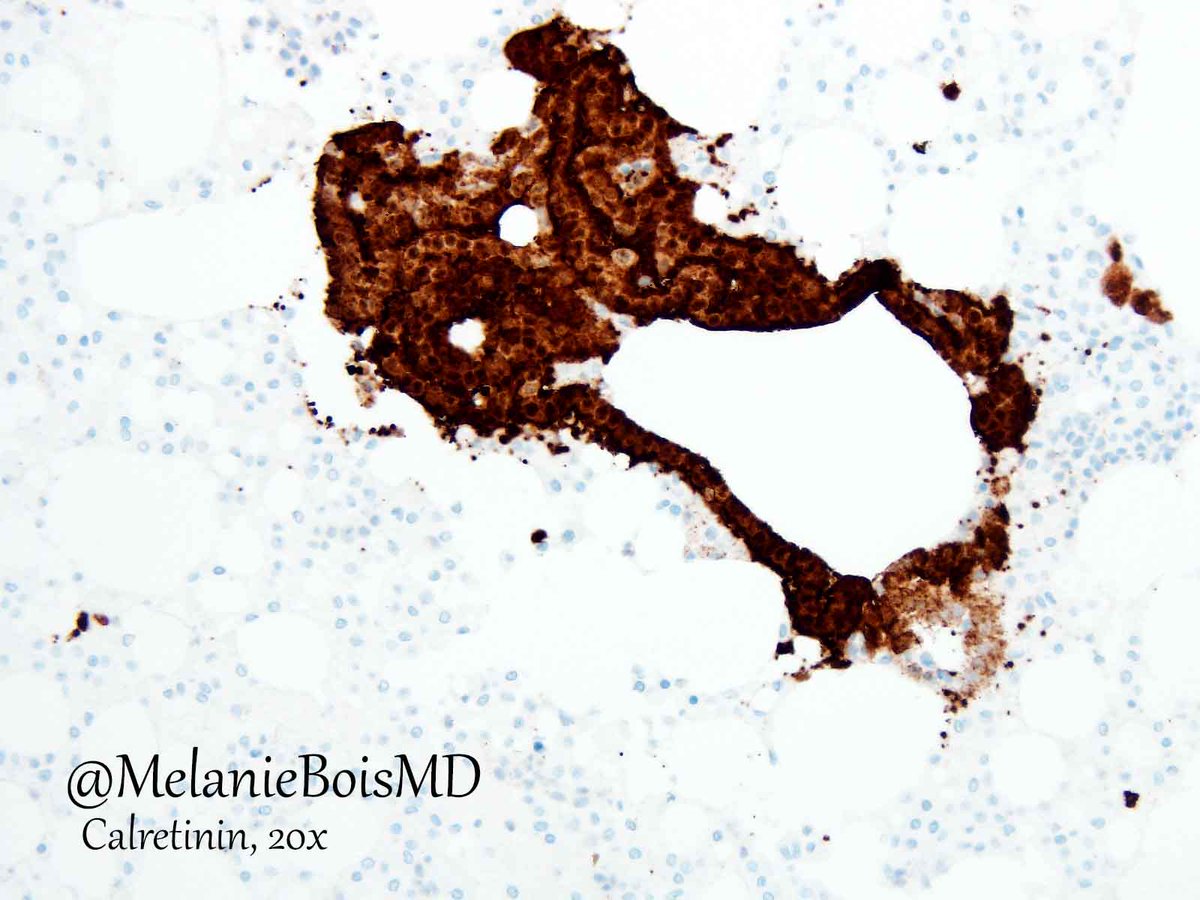 Melanie Bois tweet media