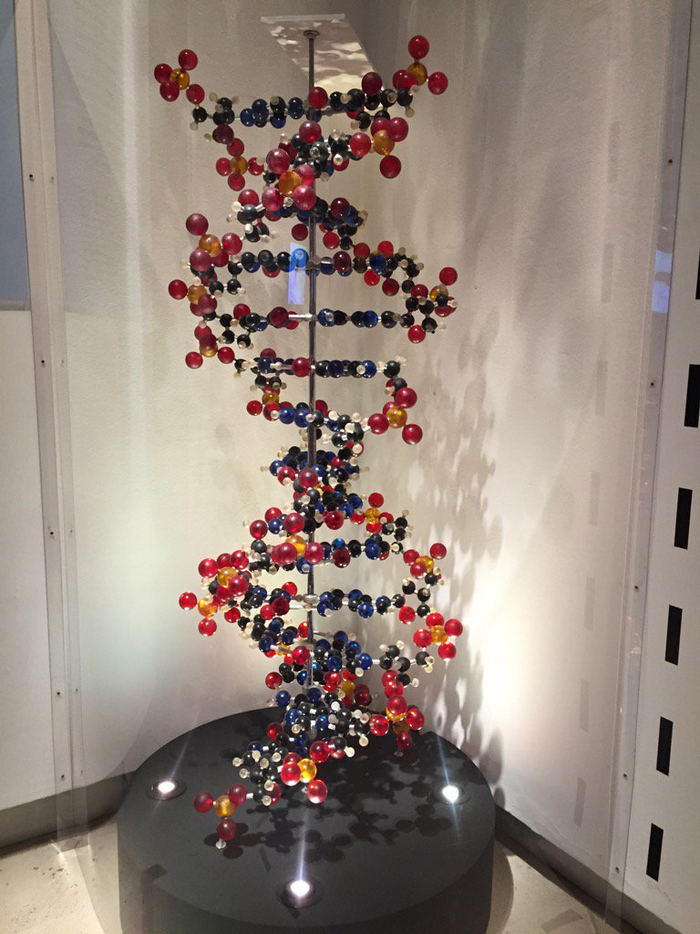 Quarto Grado insegue il dna o è il dna a inseguire Quarto Grado? #dna #QuartoGrado #dnalamostra