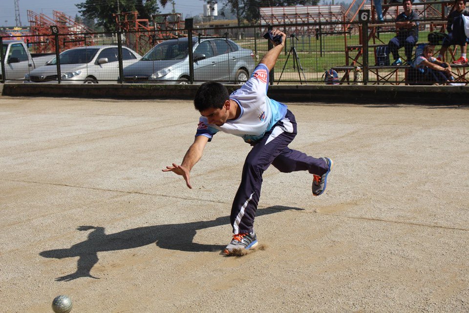 CABochas tweet media