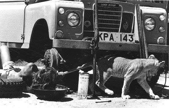 Master_LR's tweet image. #smallhelper #onelifeliveit #leo #series #landrover #legend #landy70th … ift.tt/1KxiO3H