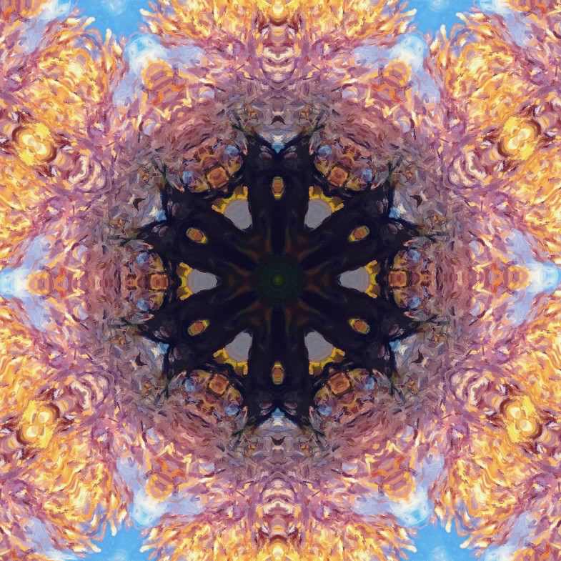 Sankofaeducator's tweet image. Blooming of Conciseness. #Blooming  #Conciseness #SacredGeometry #MetatronCube #SeedOfLife #FlowerOfLife #TreeOfLife #Artwork