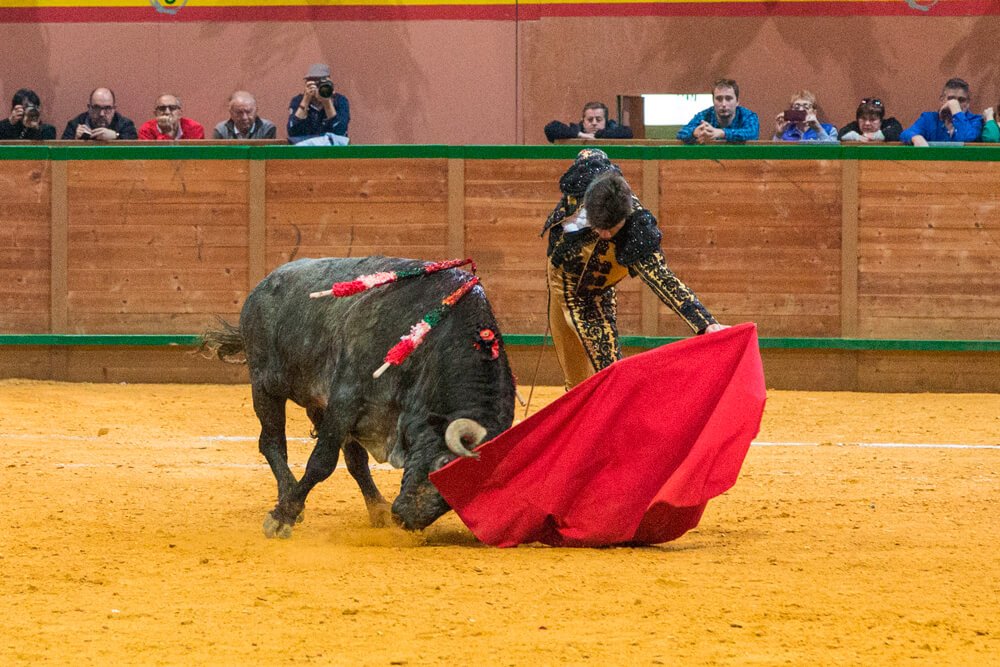 🏆VAREA TRIUNFA CON VICTORINOS
5º corrida, 2ºde la temporada. Apuesta y victoria. Importantes faenas y oreja de peso. Toreo de capa y natural