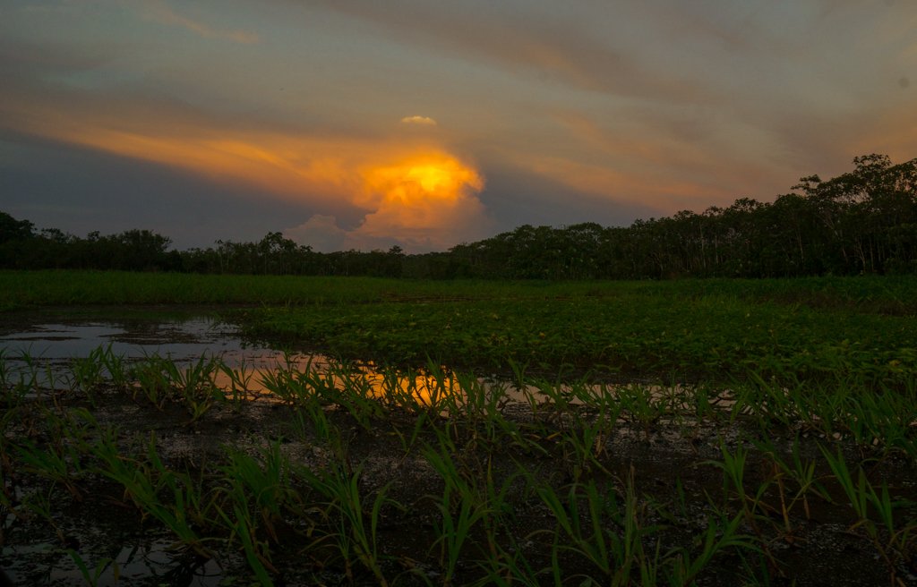hasta_pronto_de's tweet image. Amazing #Sunset at the #Amazonas River close to Iquitos.