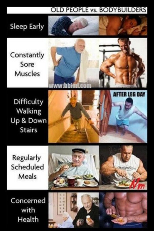 Gym Things tweet media
