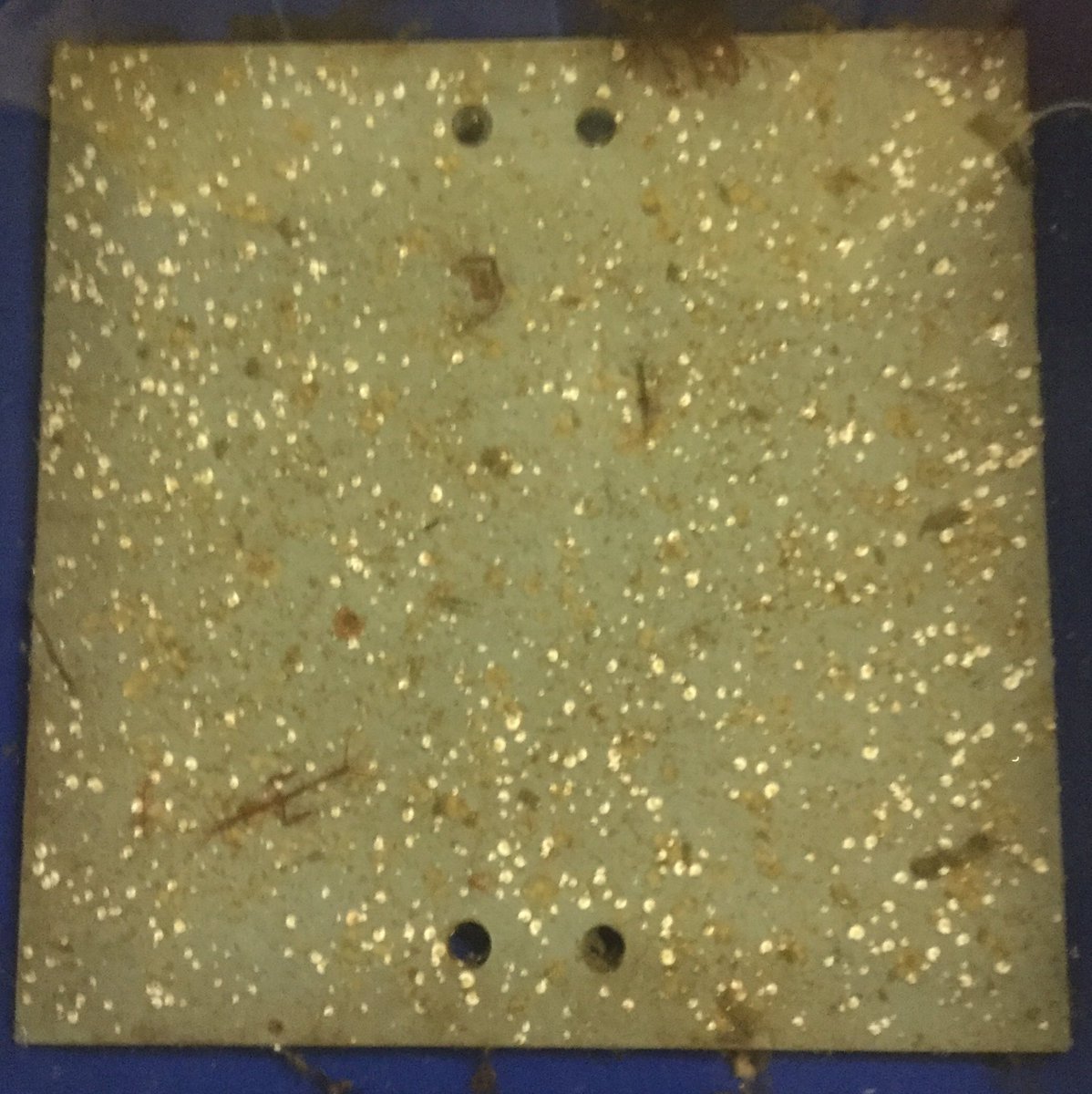 Ed Programs tweet media