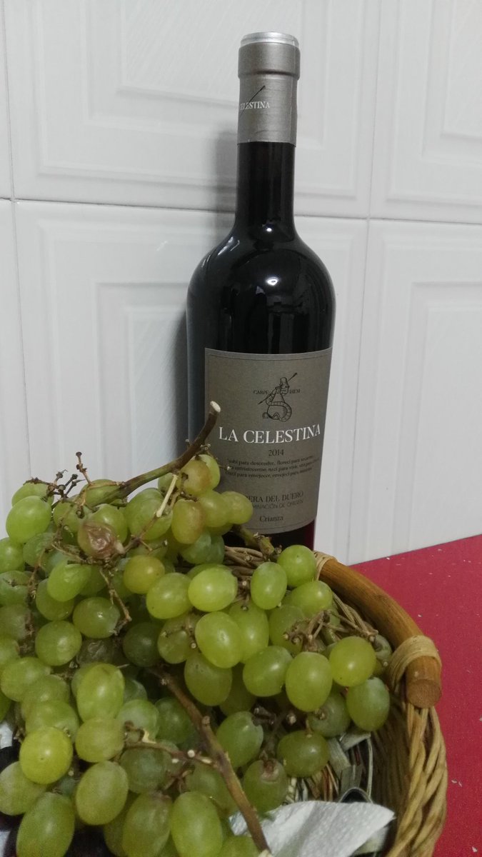 #lacelestina dará que hablar <a href="/DORibera/">Ribera Del Duero</a>