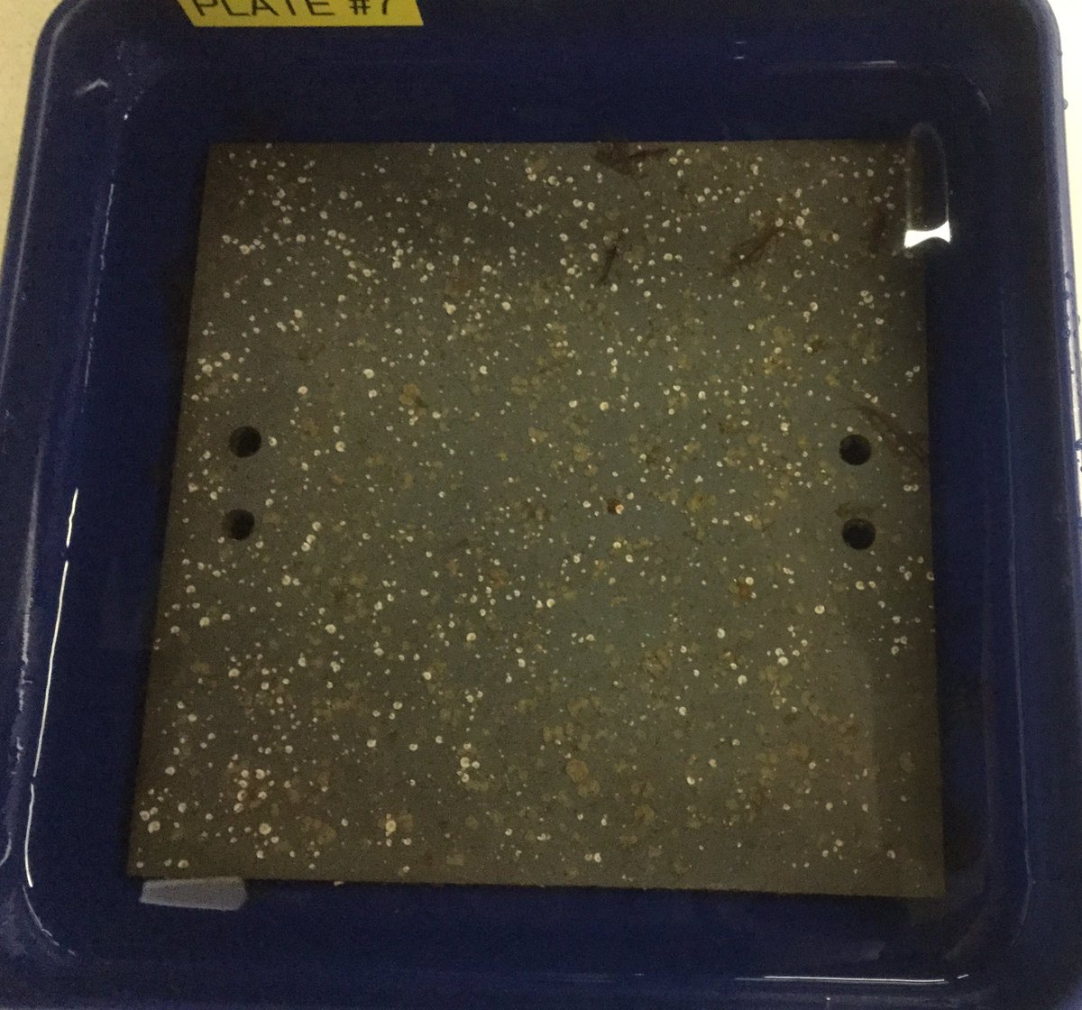 Ed Programs tweet media