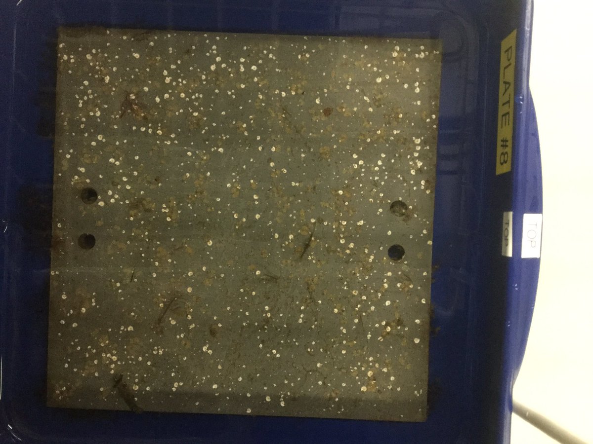 Ed Programs tweet media