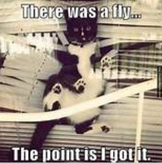 . <a href="/LoonieDollar/">👥BELLA👥#TM1NL</a>  <a href="/Realwholesaling/">Wholesaling Real Estate tips</a> <a href="/CamGolden23/">IG:CamGolden23</a>  <a href="/mmangen/">Michelle Mangen</a> @thomretterbush  <a href="/TouchByAM/">TouchByAM</a>  <a href="/ElizObihFrank/">elizabeth obih-frank</a>  <a href="/duncanpaisley/">Duncan Paisley</a> <a href="/UPark2/">UPark2</a> <a href="/LensRentals/">Lensrentals.com</a>